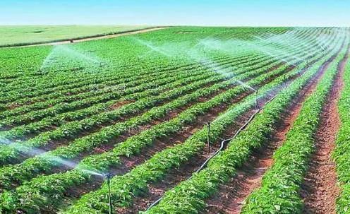 XXXXX日皮视频下载农田高 效节水灌溉